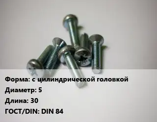 Винт с цилиндрической головкой 5х30 DIN 84